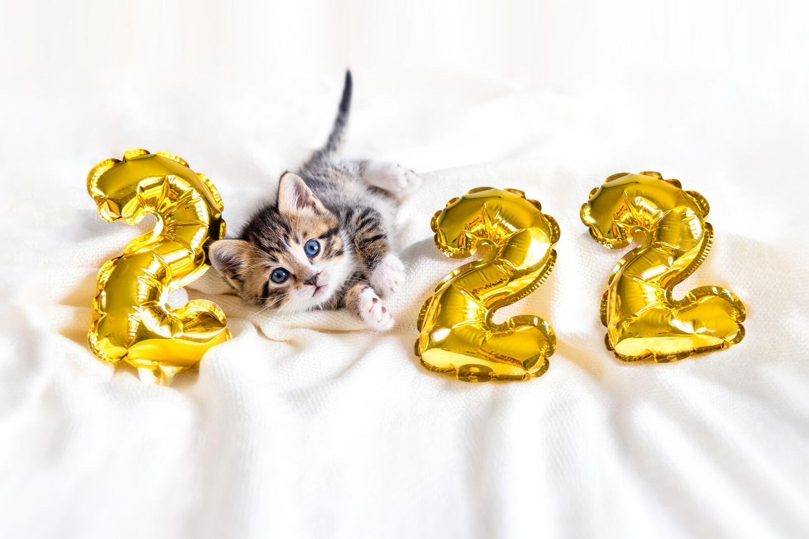 2022 Marketing Trends: How Veterinary Practices Bring on the New Year