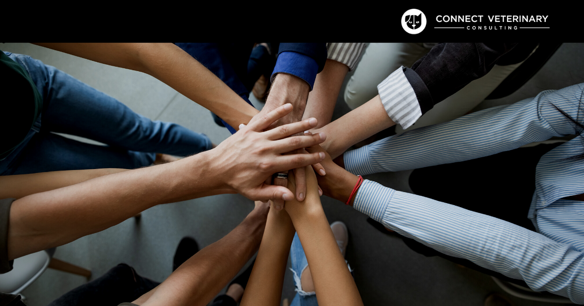 7 Ways to Boost Your Veterinary Clinic’s Online Presence and Community Engagement