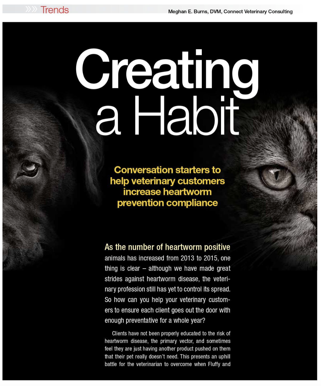 Heartworm Prevention: Creating a Habit