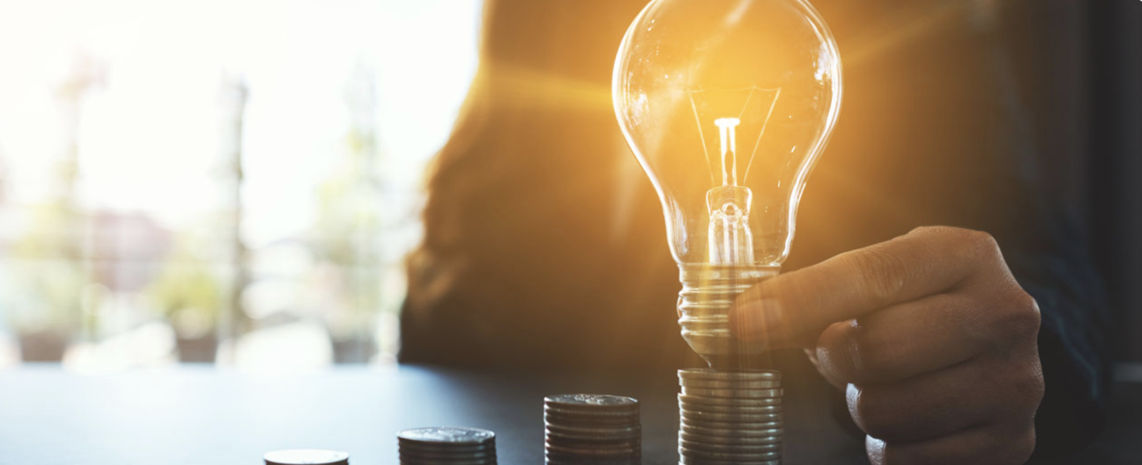 Nine Things Animal Health Start-ups Need to Know Before Pitching to Investors