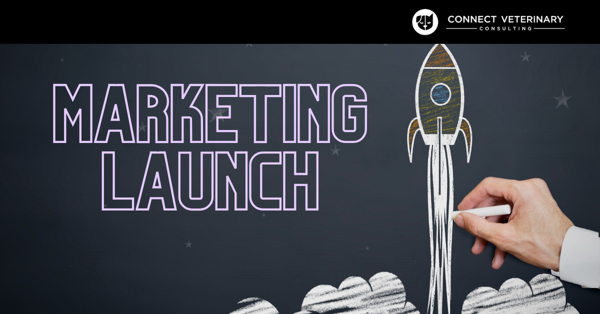 Getting Started with Marketing for Your Veterinary Practice