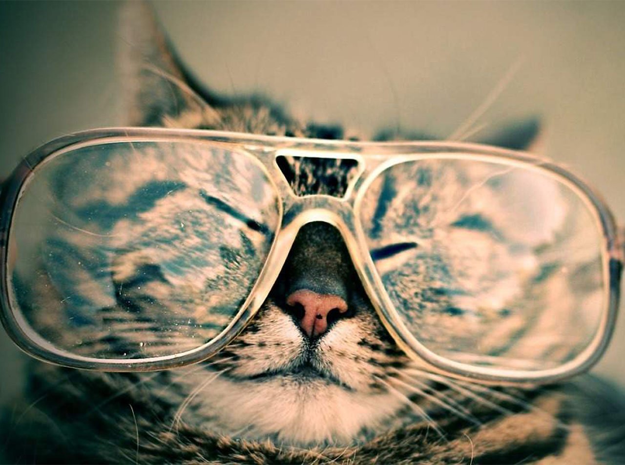 Branding Part 1: Building Your Veterinary Clinic Brand