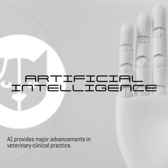Artificial Intelligence in Veterinary Medicine