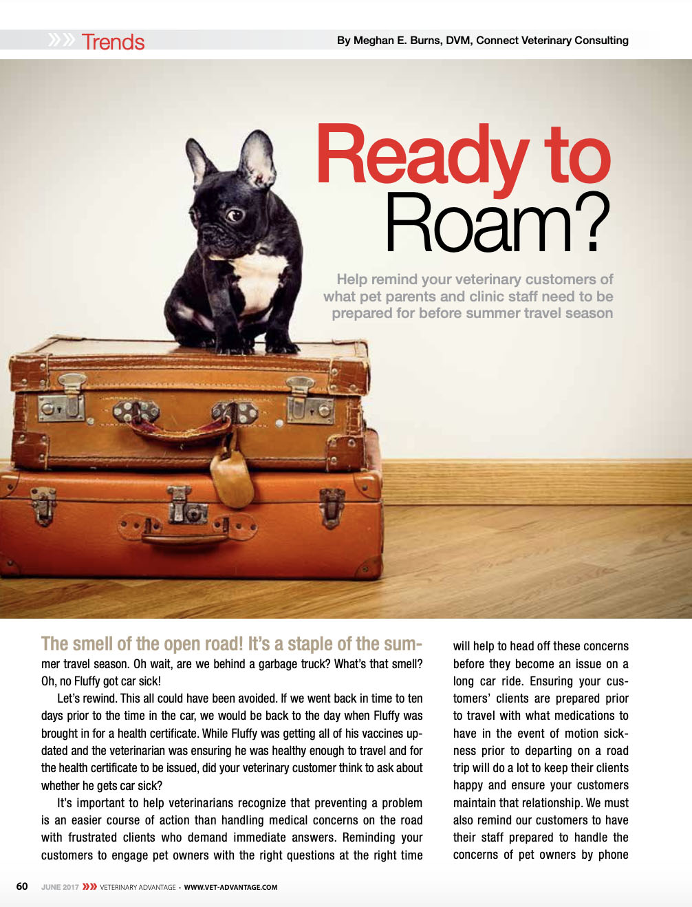Pet Travel Basics: Ready to Roam?
